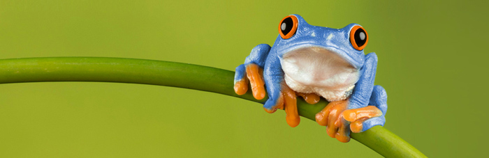 Bluefrog - Control data. Connect people.